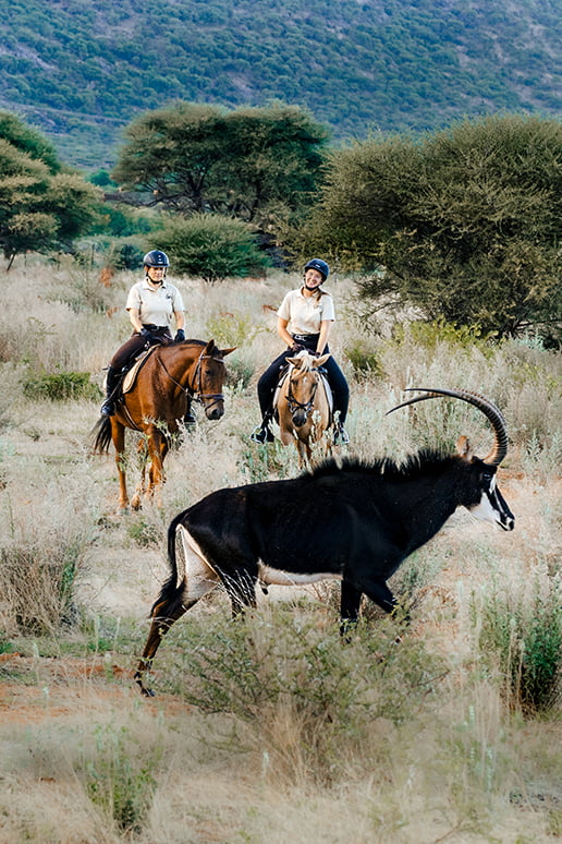 horse riding safari namibia