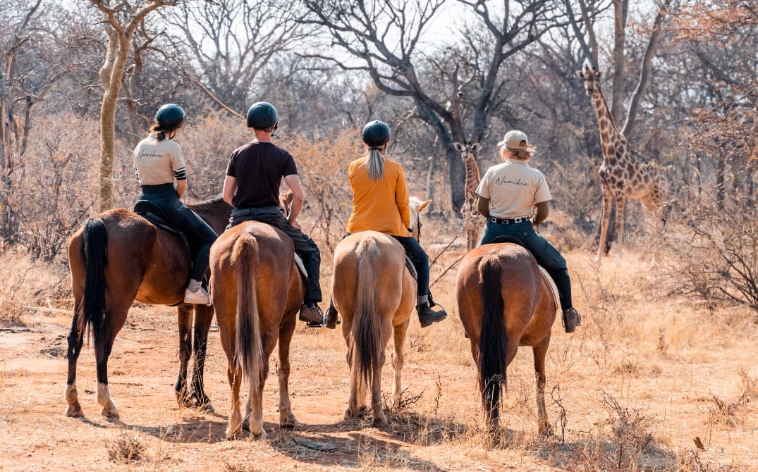 Horse Riding Safaris (1)